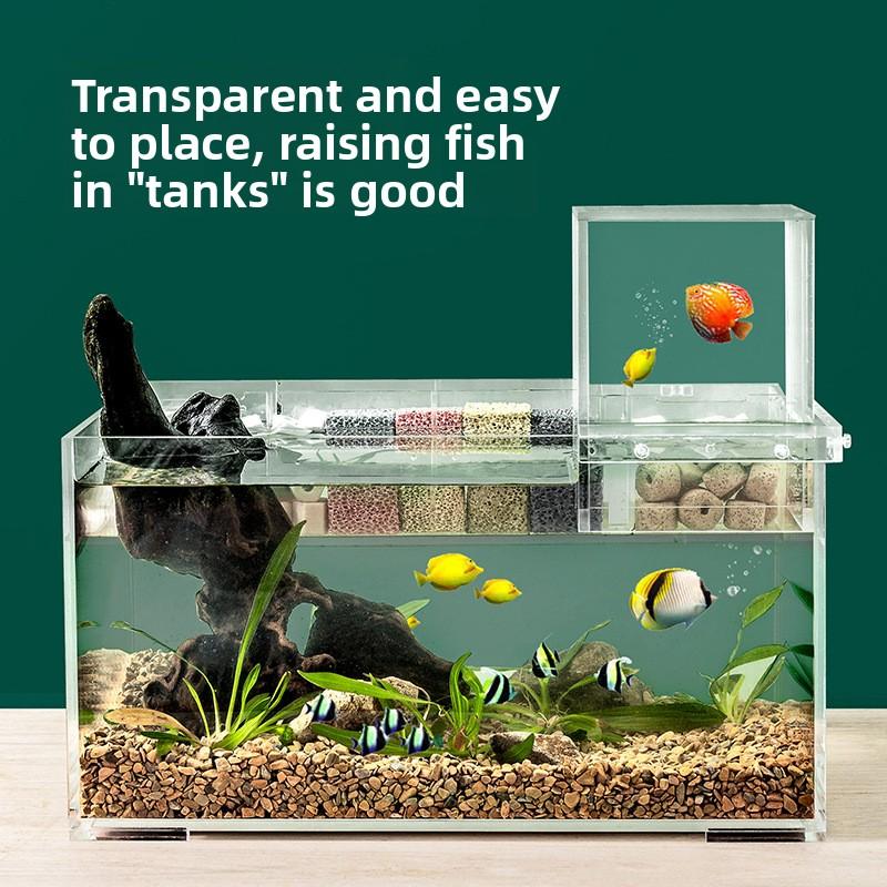 Wall Mounted Negative Pressure Fish Tank Acrylic Small Vacuum Floating Top Mounted Ecological Creative Decorative Small Fish Tank