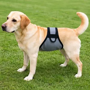 Dog Diapers for Male Dogs, Anti-Interference Incontinence Pads, Pee Guard, Large Medium Small Breeds, Elderly Dog Urinary Protection, Pet Supplies