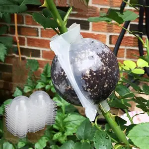 2-Inch Plant Rooting Device - 10Pcs Reusable Air Layering Propagation Balls, High Pressure Growing Box Grafting (Transparent)