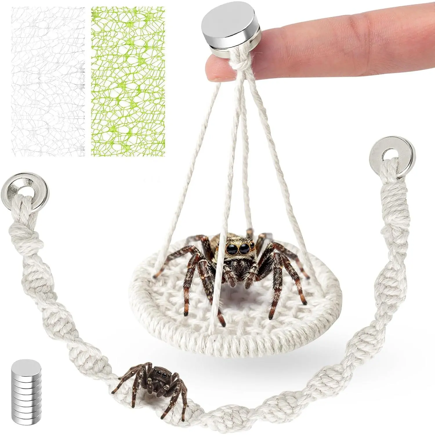 5 count Jumping Spider Rope Bridge Swings Set,Jumping Spider Webbed Moss Ribbon Tarantula Enclosure Accessories   Rope     Enclosure Decorations