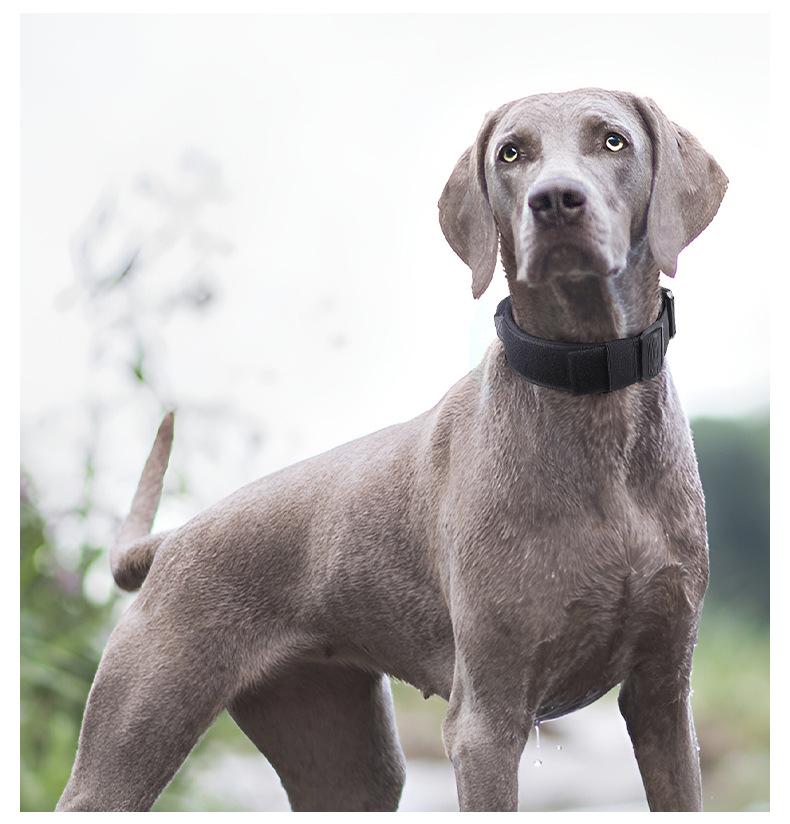 Heavy Duty Tactical Dog Collar with Control Handle, Stylish Pink Fashion No Pull Training Collar for Medium Large Dogs