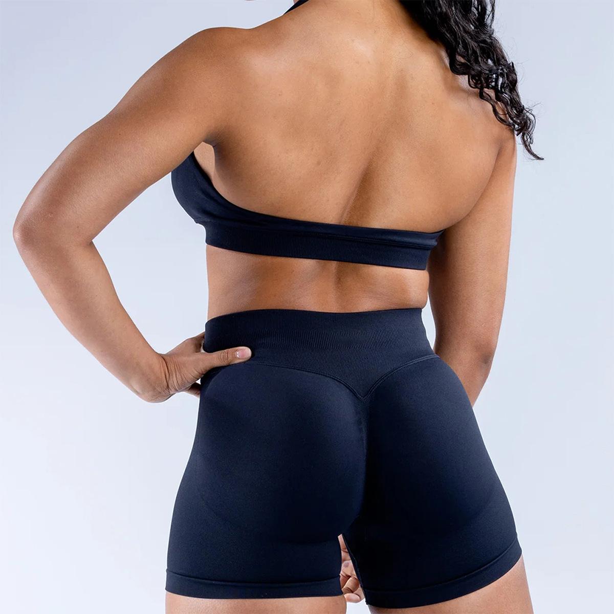 Seamless High Stretch Halter Sports Bra, Ultra Soft Matte Nylon Backless Criss Cross Workout Bra for Yoga Fitness