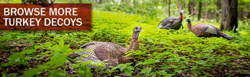 LCD Half-Strut Jake Turkey Decoy| Durable Realistic Lifelike Collapsible Standing Hunting Decoy with Carry Bag & Stake, AVX8012 Solar Trail Camera Phone Alerts