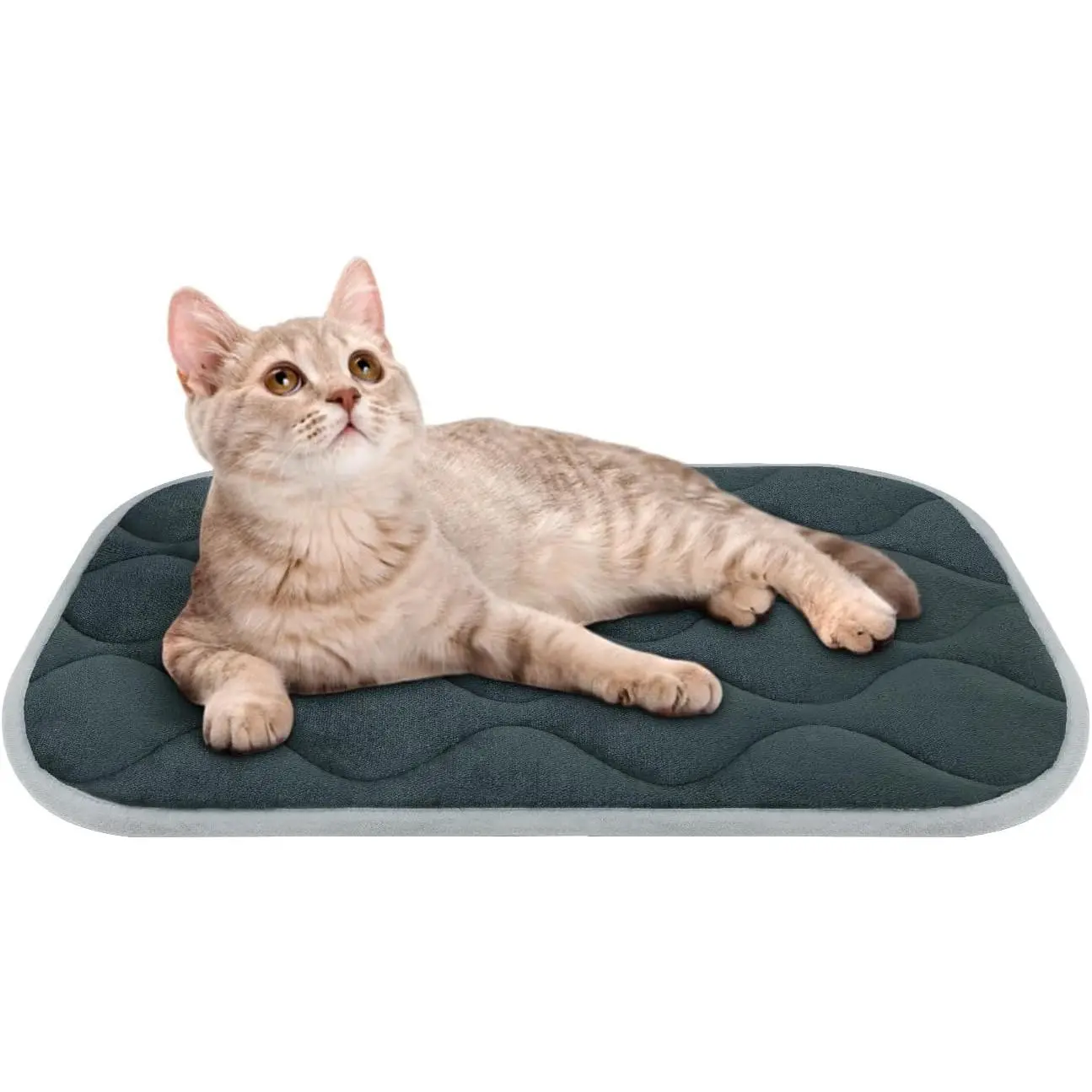furrybaby Dog Bed Mat Crate Pad, Anti-Slip Bottom Machine Washable Pet Pad | Thick lightweight mat with anti-slip bottom, machine washable. Ideal for dogs, cats in crates, home & car, XS 22x13'', Grey