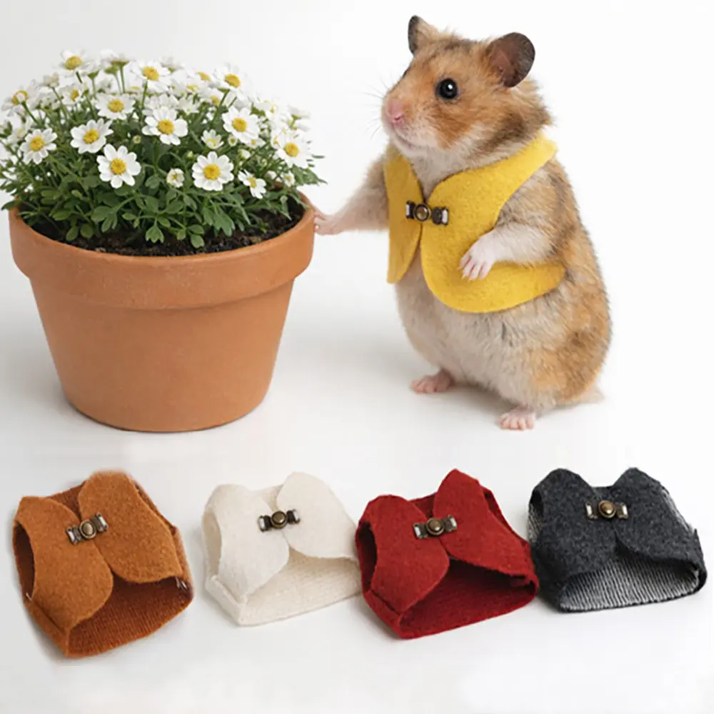 With a Clasp Hamster Vest, Golden Bear, Squirrel Suit, Buckle Vest, Hamster Warm Clothes