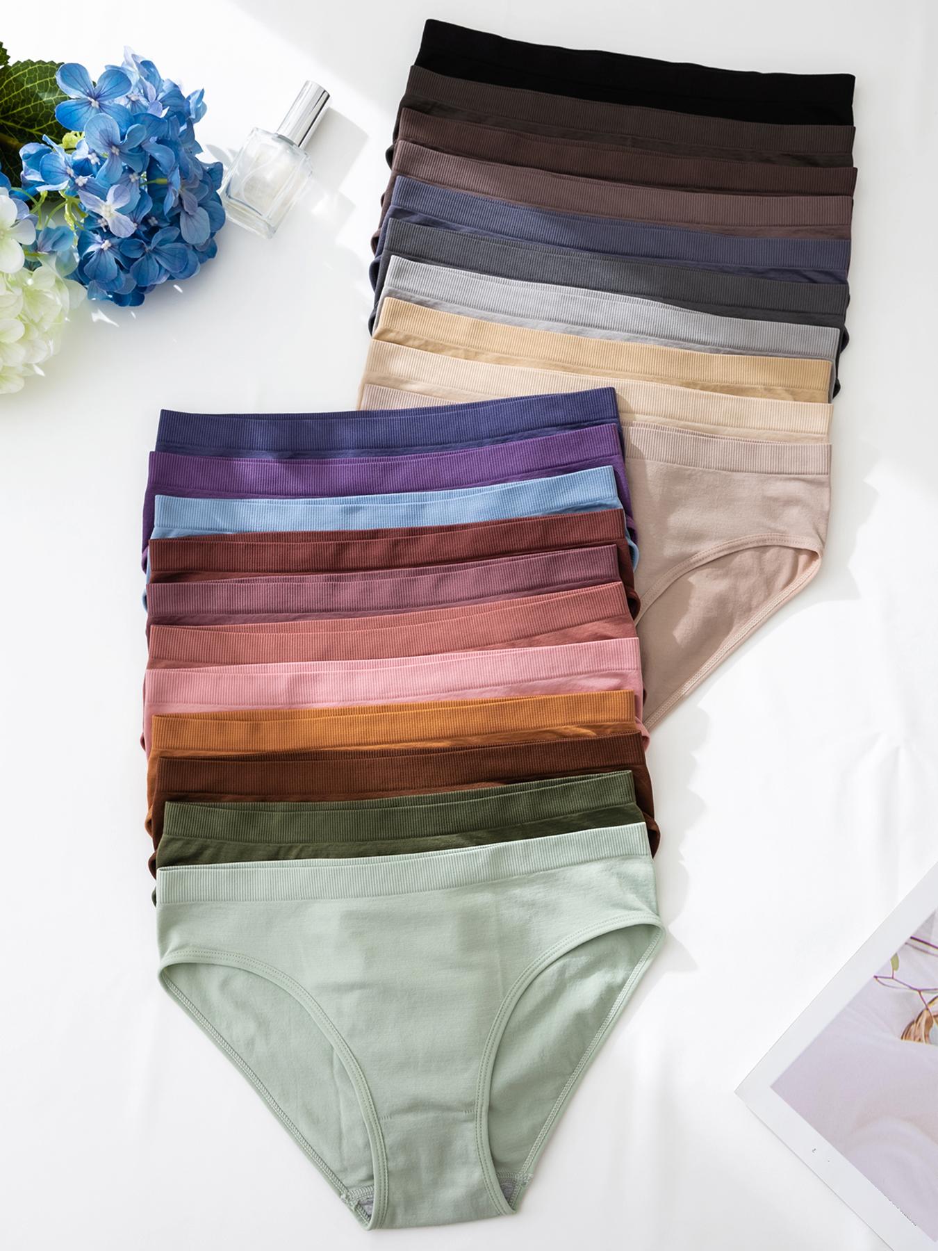 Women's Solid Color Brief, Elegant Soft Comfy Breathable Panty for Daily Wear, Underwear for All Seasons, Womenswear, Casual Comfy Panty, Soft Comfy Panties, Seamless Panties, Minimalist Soft Panties, Soft Breathable Knicker, Seamless Panties Set