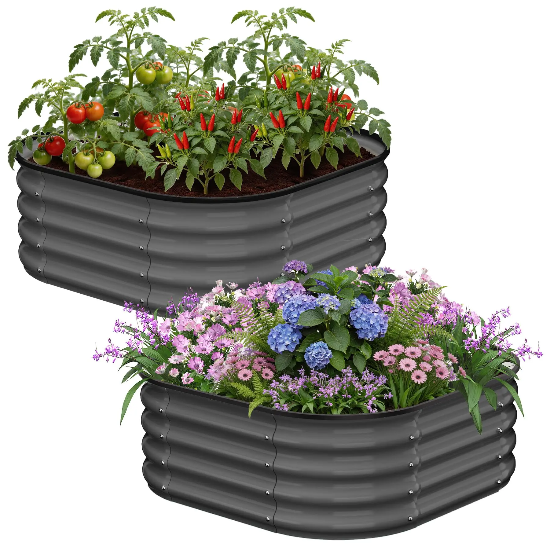 2-Pack Galvanized Metal Raised Garden Beds - Premium 2-in-1 Oval & Rounded Square Planter Boxes for Outdoor Gardening & Vegetables with 5x2x1ft Size, Open Bottom & Safety Edge