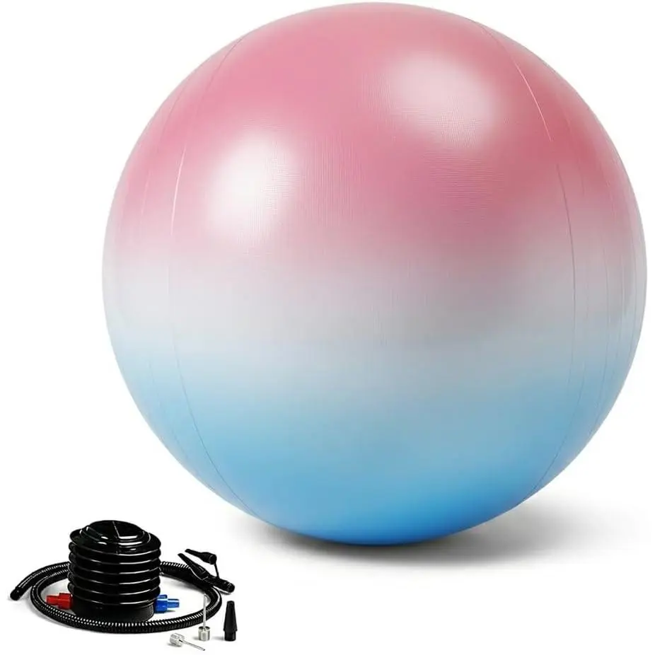 65cm Exercise Ball with Pump, Anti-Burst Non-Slip Stability Ball for Yoga Pilates  Workout  and Physical   Office Use