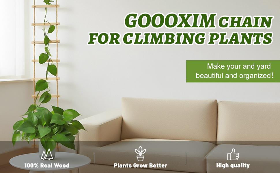 Chain Trellis for Climbing Plants Indoor – Natural Wood Ladder Style Plant for Vines, for Pothos & Ivy, Stylish for Home & Use, Indoor/