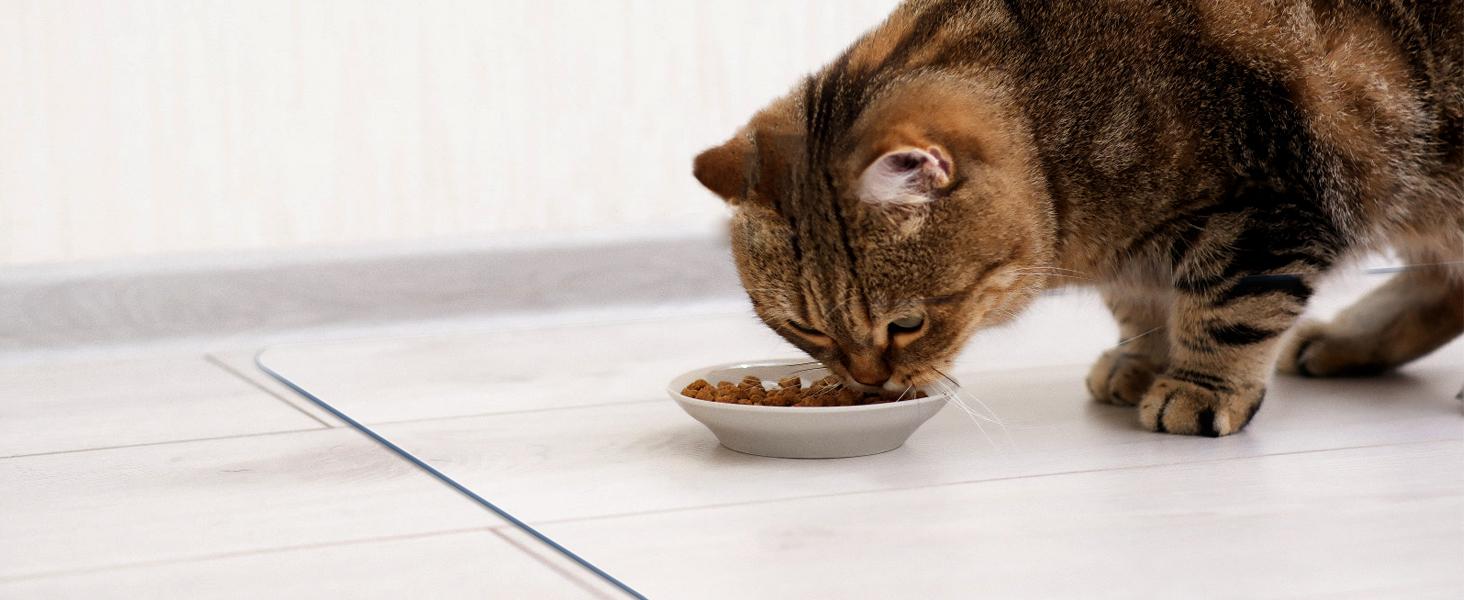 16X16 Inch Clear Dining Table Protector Entryway Tablecloth Desk Pad Mat Wooden Furniture Coffee Bistro Bed Sofa Side Table Top Protection Countertop Cover Waterproof PVC Vinyl