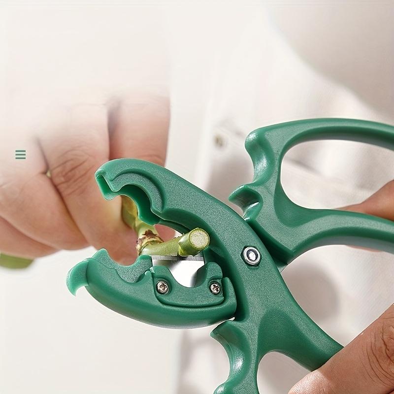 1PC, floral scissors, 2-in-1 flower branch pruning scissors, stainless steel gardening scissors, rose thorn removal scissors, scissors suitable for flower shops