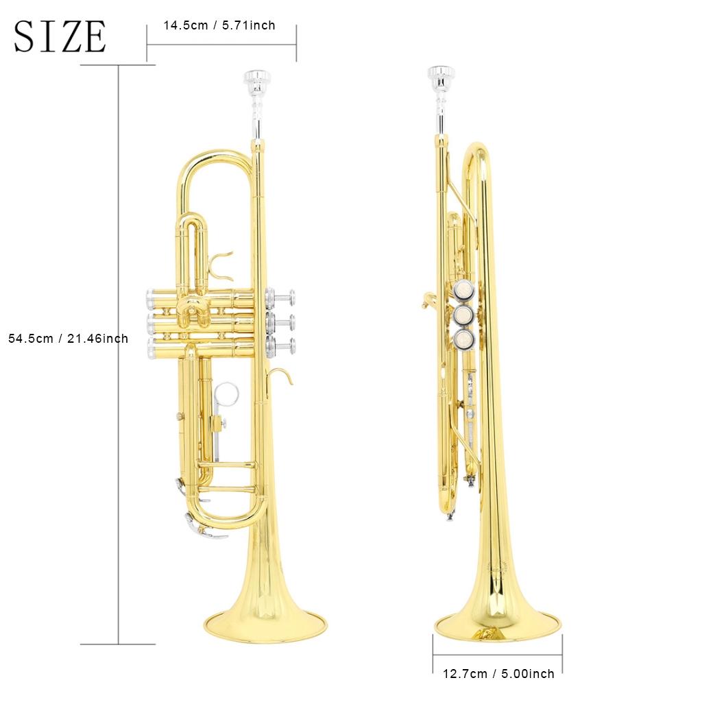 Bb Trumpet, 1 Count Bb Trumpet with Double Pole Support, Brass Wind Instrument, Professional Musical Instrument for Beginner Adult Students