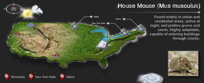 Humane Trap Live Mouse Trap Indoor Catch and Release Animal Cage Multi Large Bait Outdoor Reusable Chipmunk Mice Voles Rodent That Work (1)