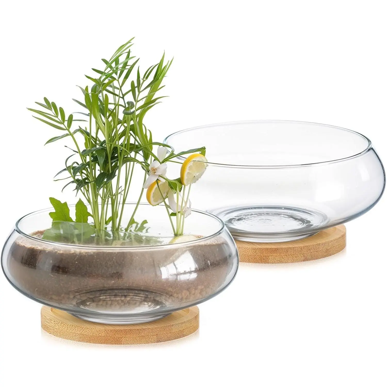 Baderke 2 Sets Glass Planter Bowls for Flowers with Tray 6'' Round Glass Vase Bowl Hydroponic Lotus Planter Pot Propagation Vases Fish Bowl for Plants Indoor Windowsill Kitchen Desktop Wedding Decor