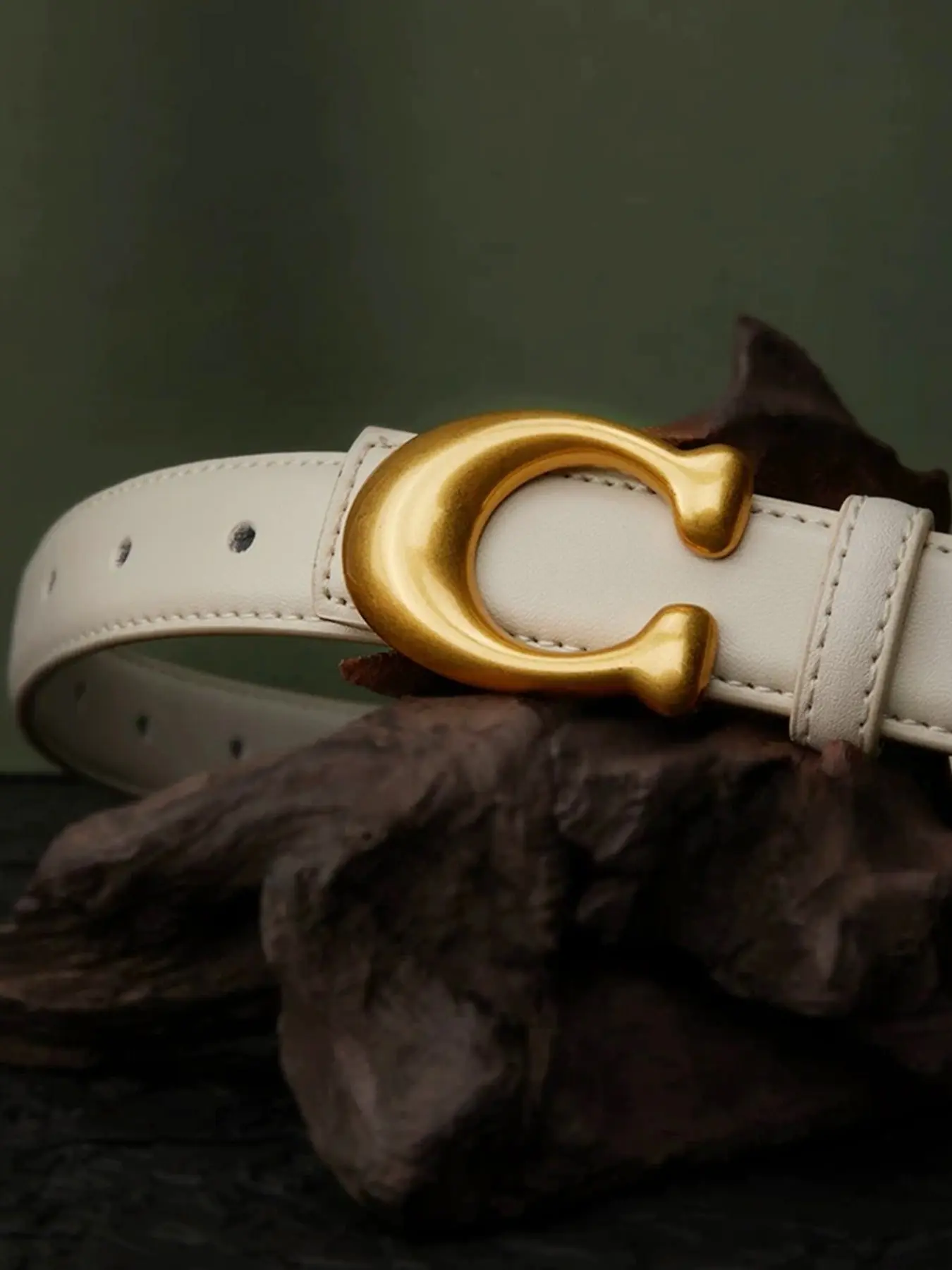 Women's Casual Letter Pattern Belt, All-Season Fashion Accessory, Versatile and Stylish, Perfect for Daily Wear