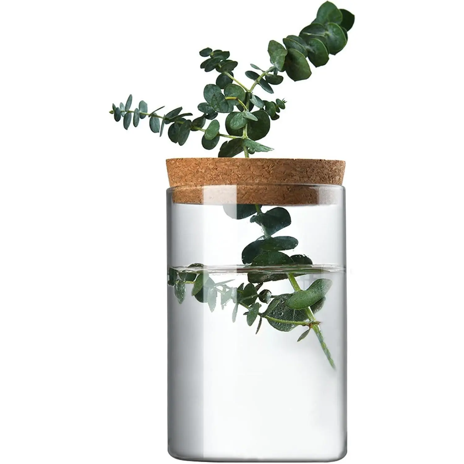 Clear Glass Planter Vase with Wooden Lid and  Stand for Hydroponic , , Cut  Gifts for Women Mom  Lovers (1, 2.55 * 3.93inch)