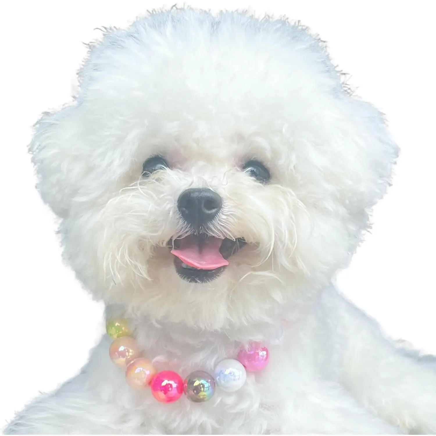 Dogs necklace,Pet Fashion Necklace, Colorful Beaded Necklace,Pet Jewelry,Vibrant Candy-Colored Pet Jewelry Necklace for Cats and Dogs