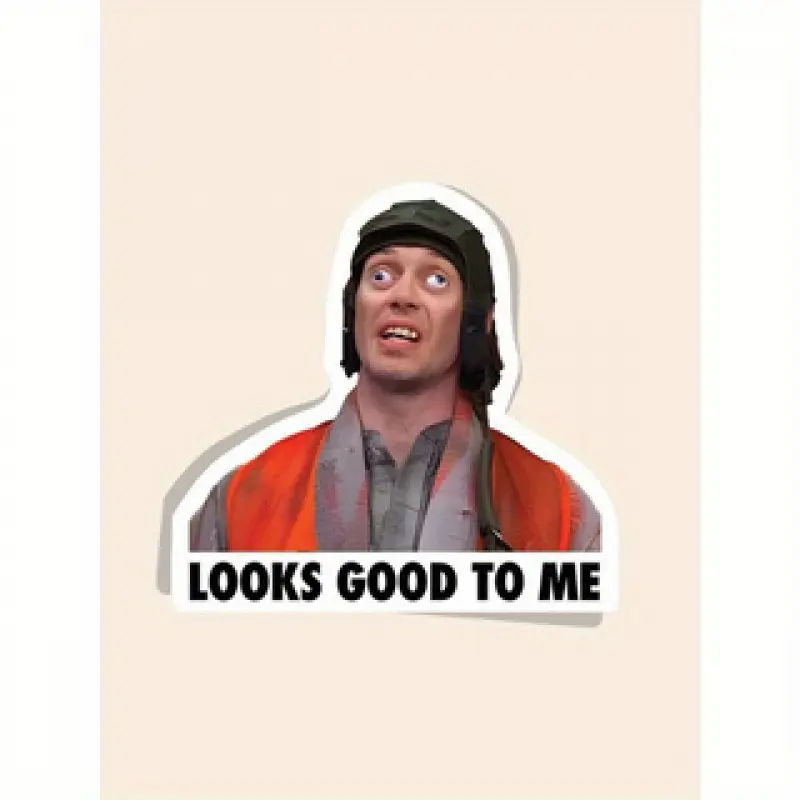 Funny Sticker, Humorous 'looks Good to Me' Decal, Perfect for Laptops, Cars, Insulated Cups, Toolboxes, Decorative Vinyl