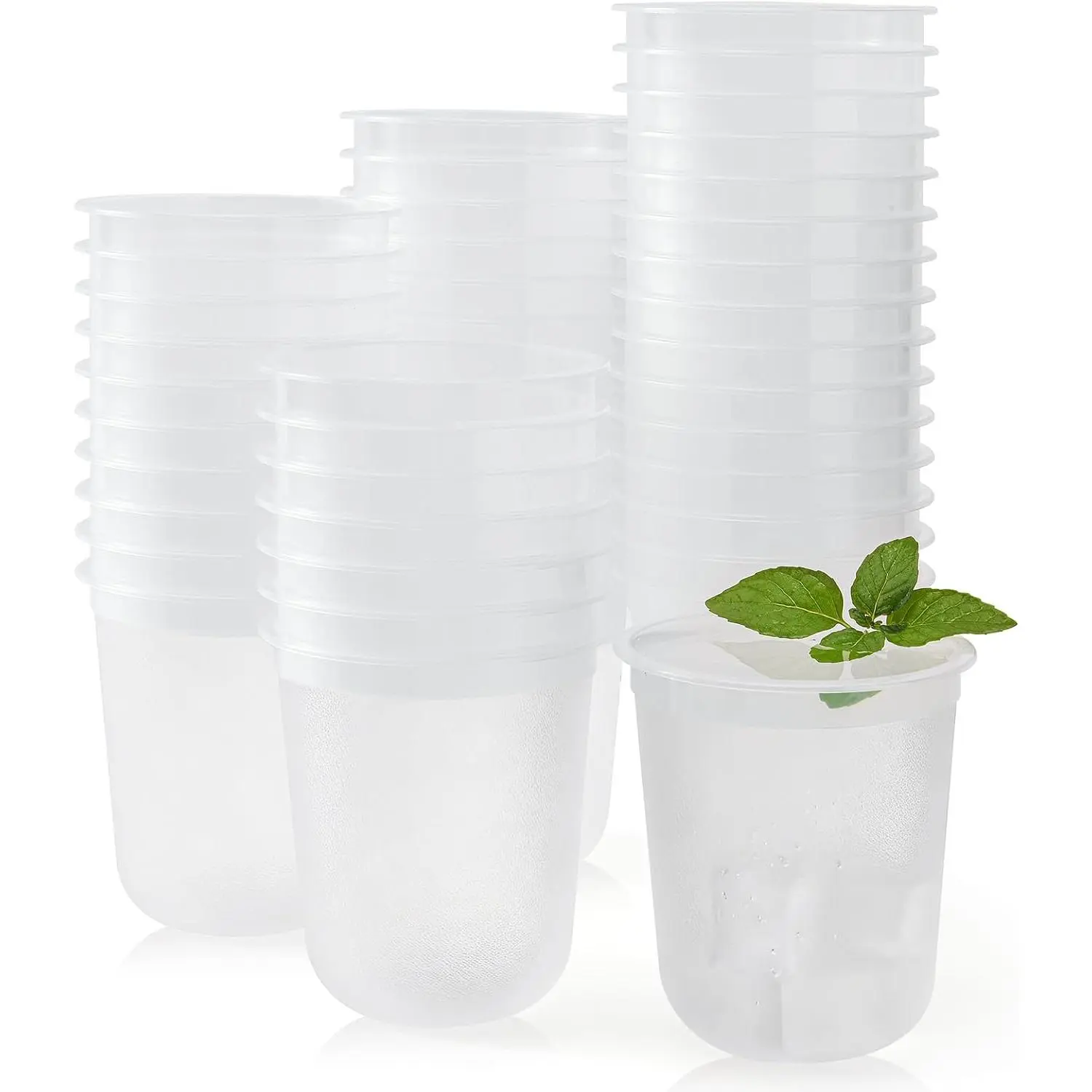 50 Pack Frosted Plastic Cups Clear Disposable  Glasses for Graduation Wedding Holiday Birthday Party (12 Oz)