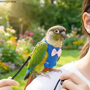 Parrot Harness Leash Set, Adjustable Tiger Stripe Bird Flight Vest Anti-Lost Training Rope, Safe Walking Strap For Budgie Sun Conure Small Pet Bird Outdoor Activities