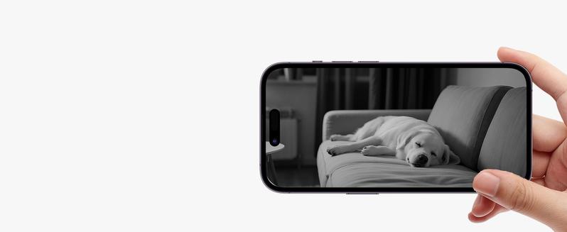 ZOSI 4K Indoor Security Camera C518 Pan/Tilt Pet/Dog/Nanny Plug-in Wifi Camera with Auto Tracking AI Detection 360° View Night Vision 2-Way Audio 5GHz/2.4GHz WiFi 64G Memory Card Included Button Installation