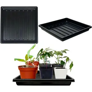 Growing Trays for Seedlings Microgreen Seed Starter Shallow  Tray Drip Tray Standard 1010 Tray no Holes 5 Pack Black 10.7 x 10.7 inches Square Trays