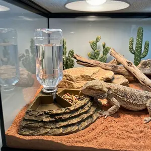 1pc Reptile Water & Food Feeder With Steps, 2-in-1 Stable Dish with Auto Water Dispenser, Drowning Prevention Tree-Dwelling Accessory for Crested Geckos, Giant Geckos & Lizards