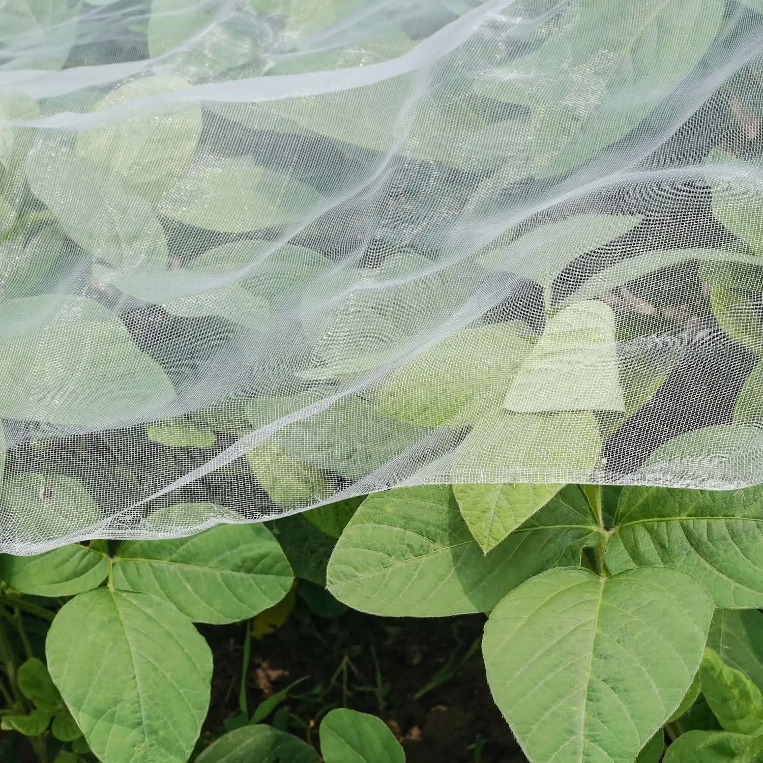 Ultra Fine Garden Netting, 4'x10' Plant Netting Pest Barrier for Garden Protection Row Cover Raised Bed Screen Mesh Greenhouse Mosquito Net, Protecting Tree Plants Vegetable Flowers Fruits