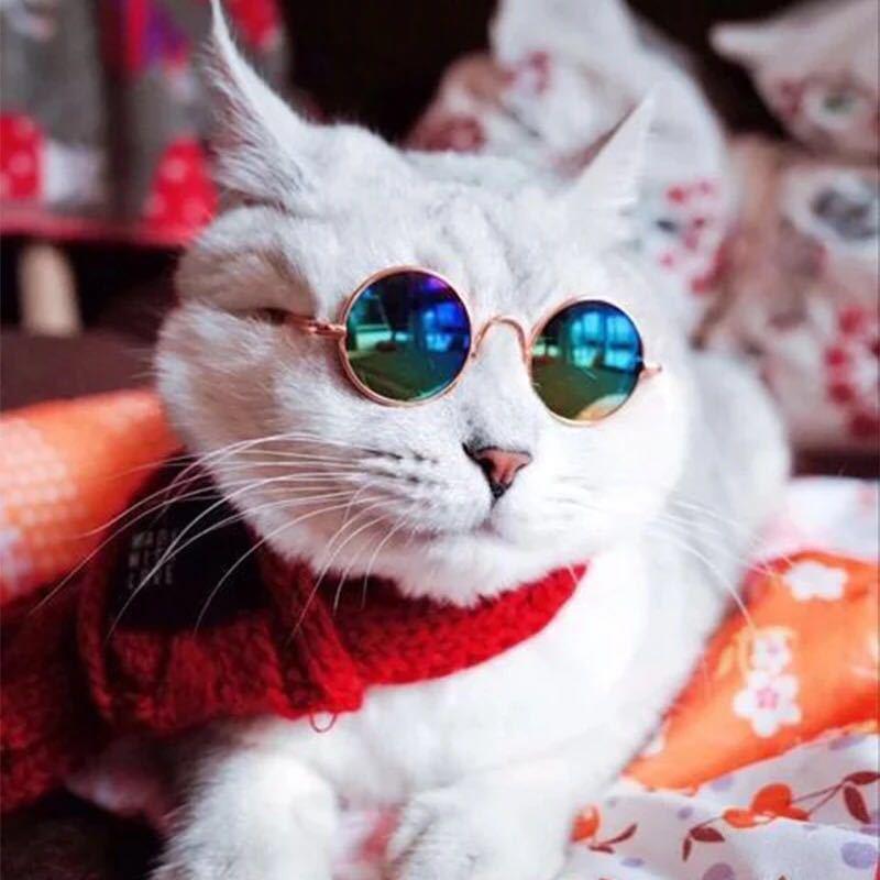 Dog Cat Pet Sunglasses Creative Trendy Sunwear Cute Accessories Mini Eyewear for Small Animals Adjustable Fit Summer Outdoor Play