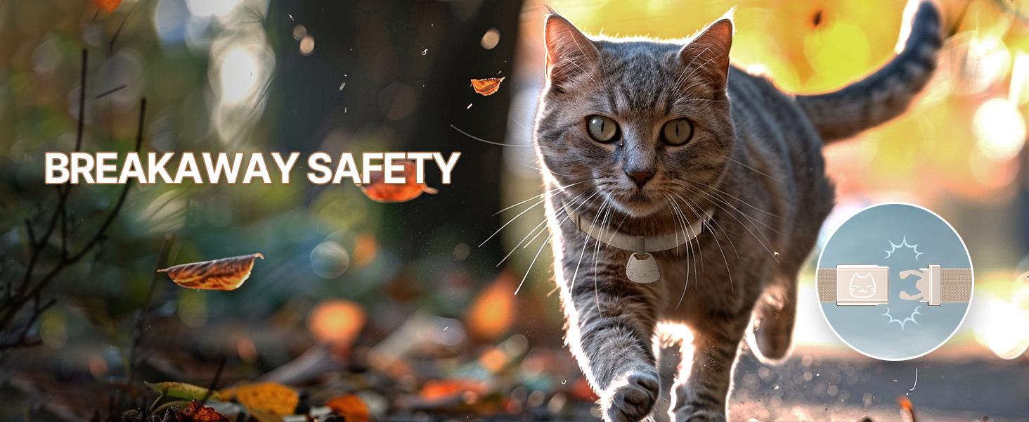 Cat Collar with Name Tag Breakaway: Kitten Collars for Girl Boy Cats with Writable Name Tags, Ultra Soft & Elastic Adjustable (6"-12") Cat Collar with Break Away Safety Buckle, Khaki