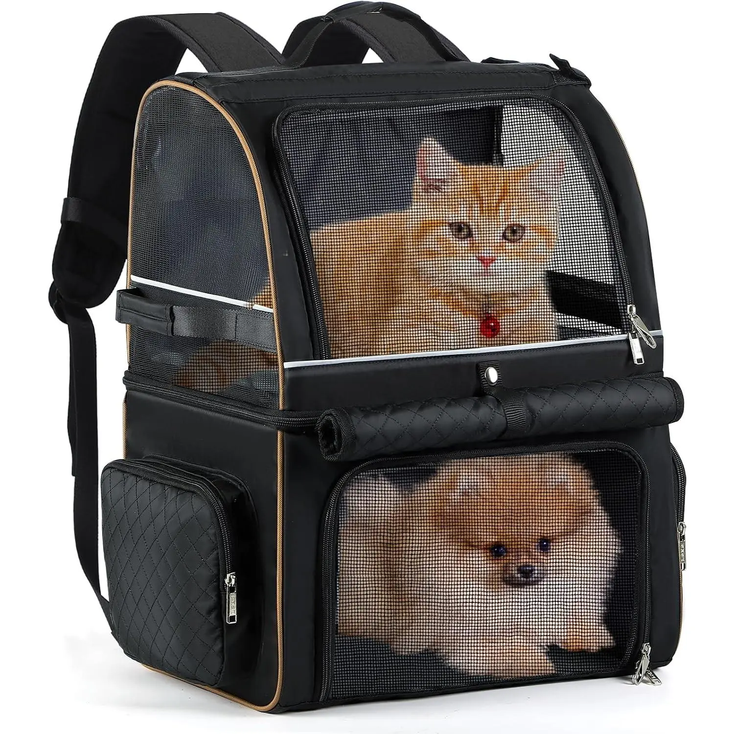 Double-Compartment Pet Carrier Backpack with Secure Carry - Fits 2 Small Cats, 1 Medium Cat, or 1 Small Dog Up to 24 Lbs, Black Travel Pet Carrier