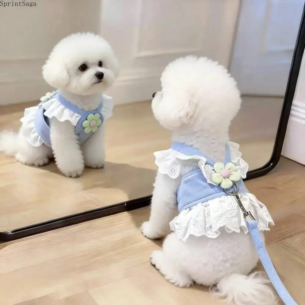 Cute Floral Lace Puppy Harness Dress with Leash Set, Ruffle-Edge Princess Vest Outfit for Small Dogs, Breathable Walking Harness Accessory, Harness And Leash Set