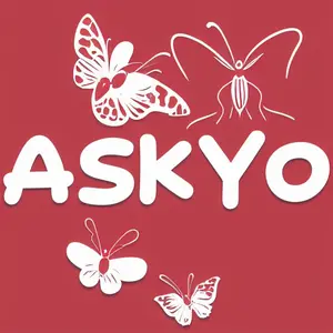 background preload poster image 