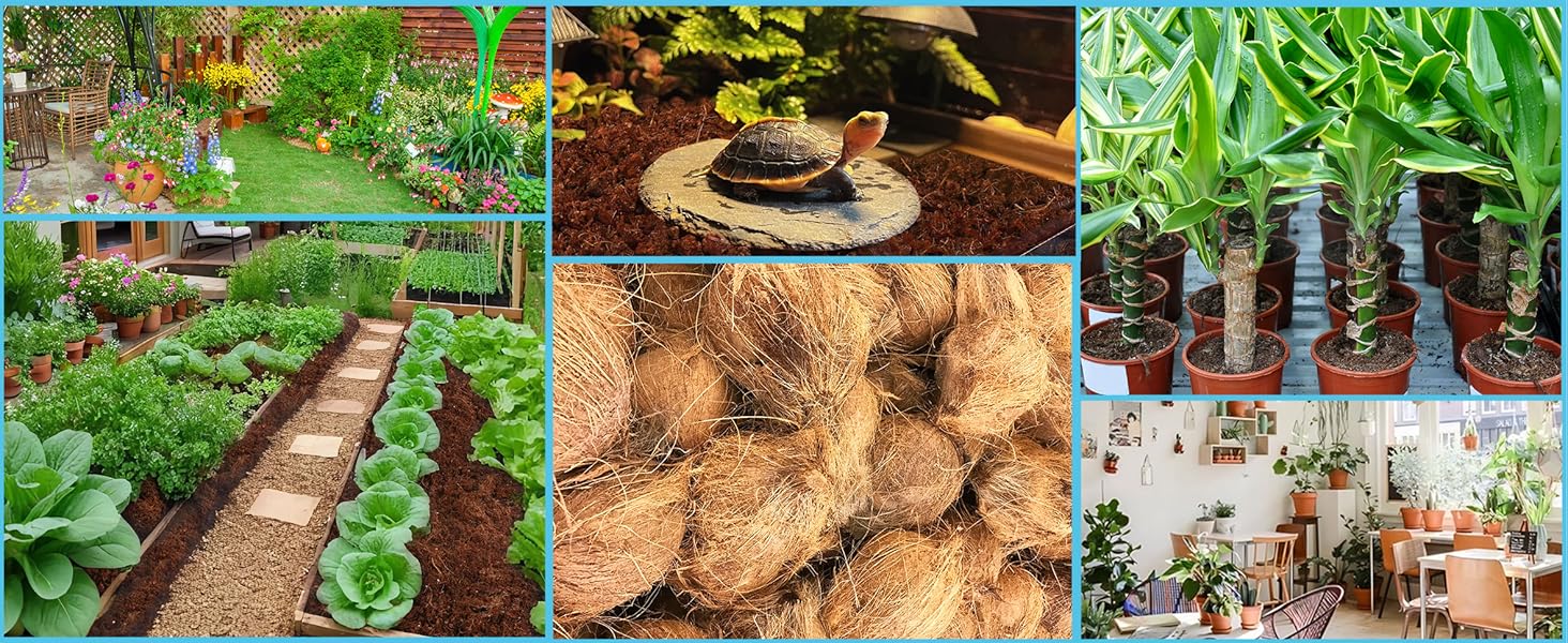 Coco Coir Bricks 6 Pack 100% Organic Peat Moss, Fiber Husk for Planting,, Potting Soil Substrate