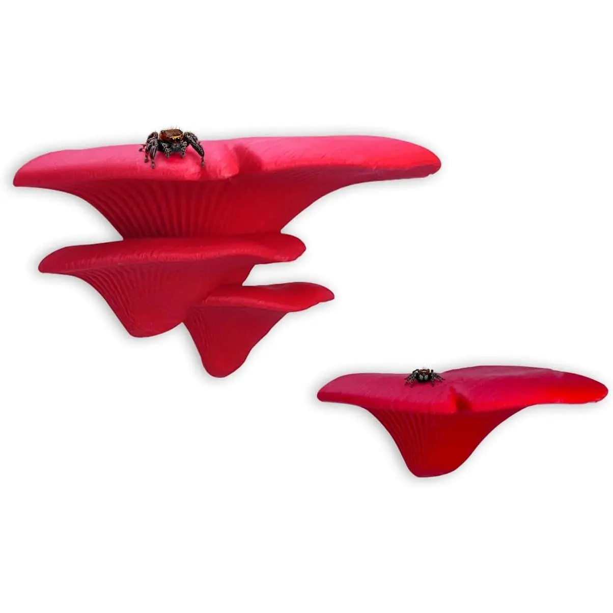 Jumping Spider Mushroom Shelf, Magnetically Concealed Jumping Spider Habitat,Serves As Enclosure Decorate Accessories for Spider Climbing Feeding and Platforms (Red)