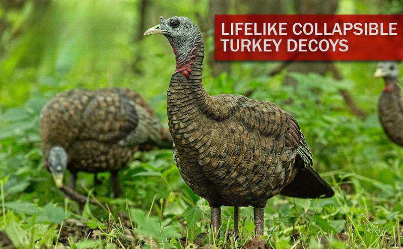 LCD Half-Strut Jake Turkey Decoy| Durable Realistic Lifelike Collapsible Standing Hunting Decoy with Carry Bag & Stake, AVX8012 Solar Trail Camera Phone Alerts