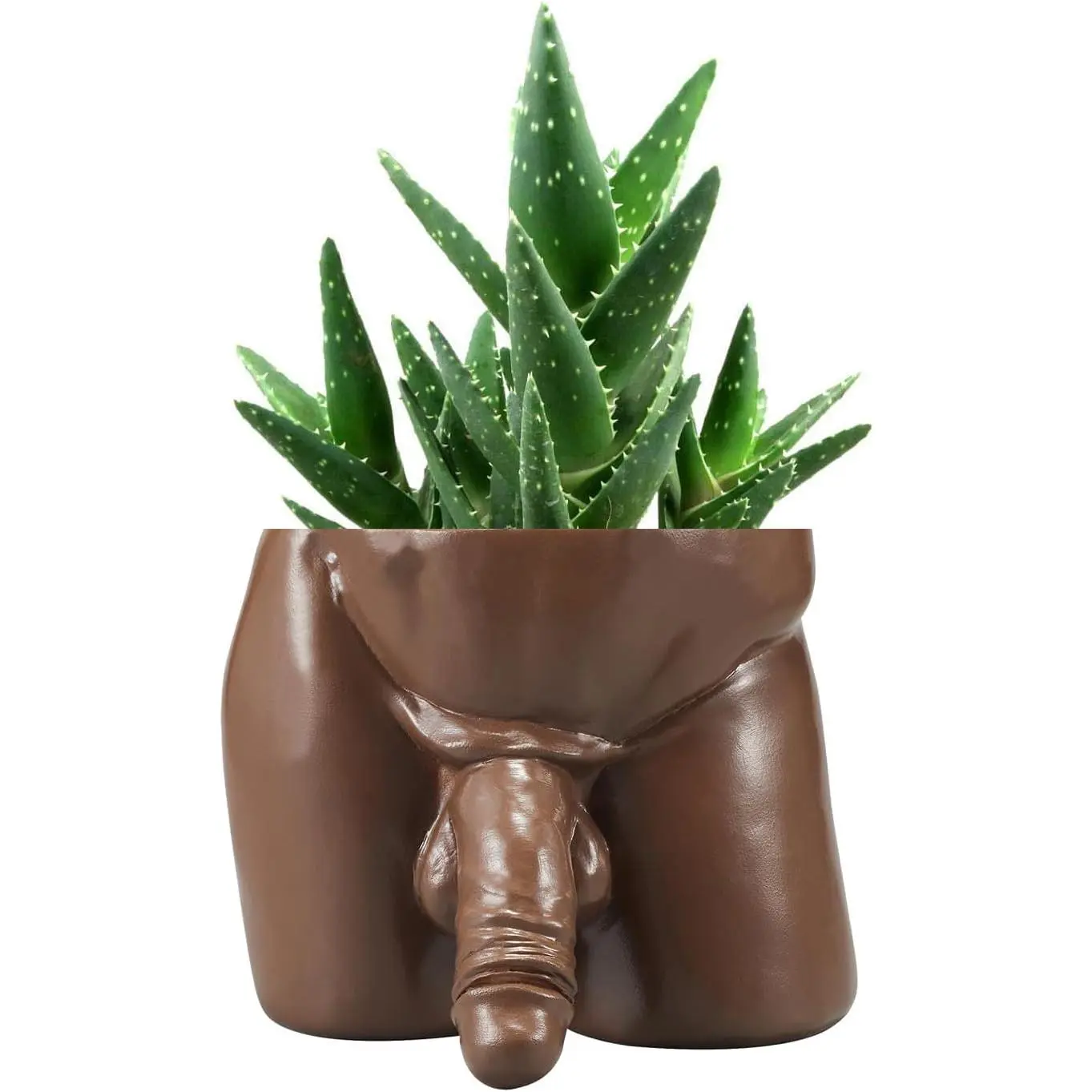 Funny Succulent Pots Body Penis Planter, Unique Plant Pots with Drainage Holes, Cool Vases Gag Gifts for Friends Succulents Cacti Vanilla Home Garden Office Decor Outdoor & Indoor (Brown, M)