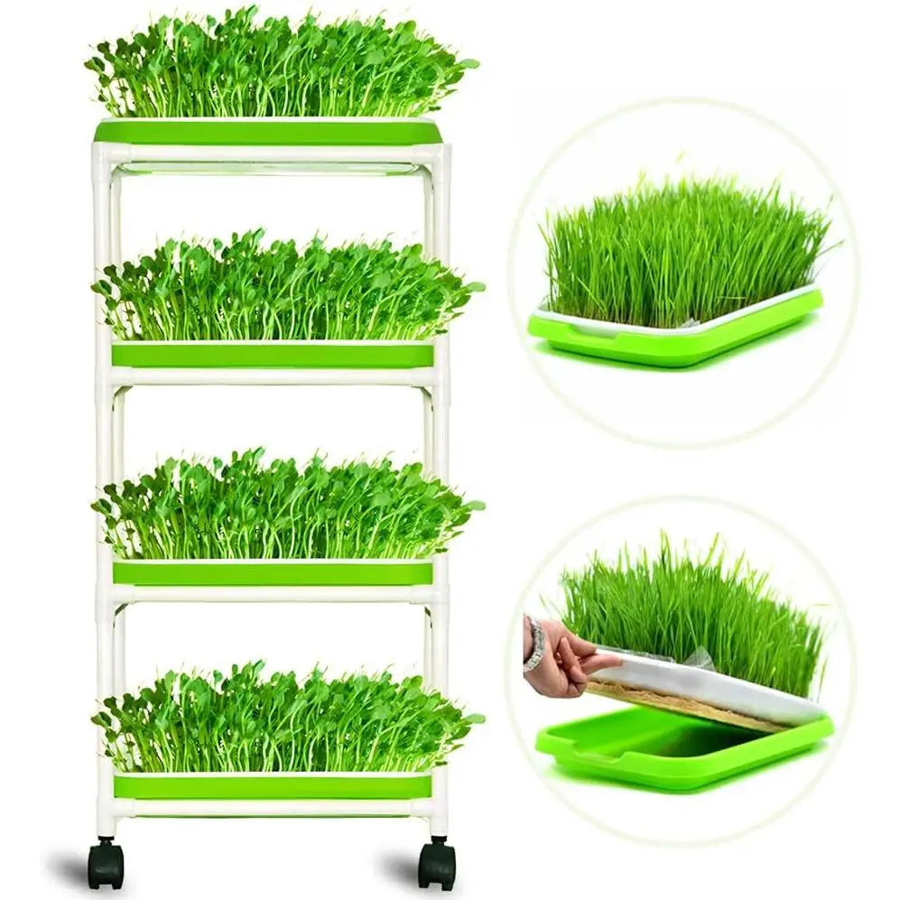 4 Layers Sprout Trays with Extra Strength Plastic Shelf Soil-Free  Wheatgrass Seeds Grower & Storage Trays for   Office |  PP Soil-Free Hydroponic Growing & Storage Trays for Mung Beans, Microgreens, Wheatgrass for , Indoor