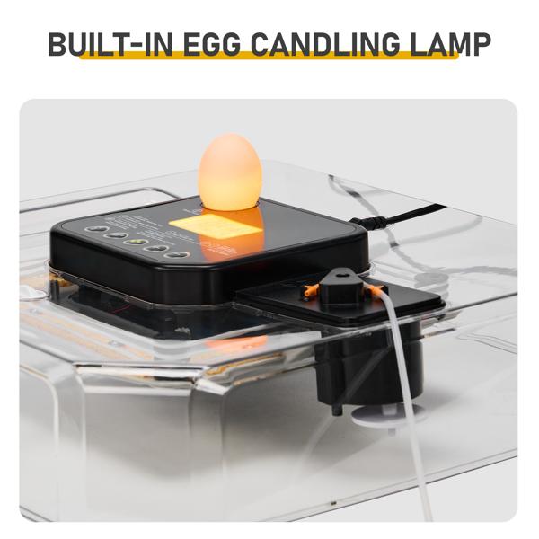 48H Pro 48-Egg Incubator 110V 85W Fully Automatic Egg Turner LED Candler Auto Temp Humidity Control Fahrenheit Display ABS PET Body Clear Lid Storage Compartment for Home Use Home