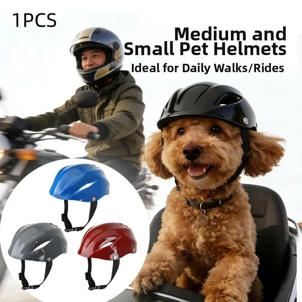 Pet Helmet for Border Collie and Corgi, Adjustable Safety Hat for Outdoor Riding, Motorcycle Cap with Visible Ears, Cat Headwear