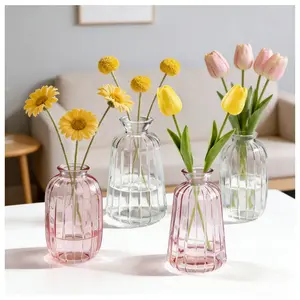 2-Pack Multi-Color Style Glass Vases, Modern Living Room Desk Decor, Hydroponic Flower Arranger, Fresh Plant Holder, Home Office Gift
