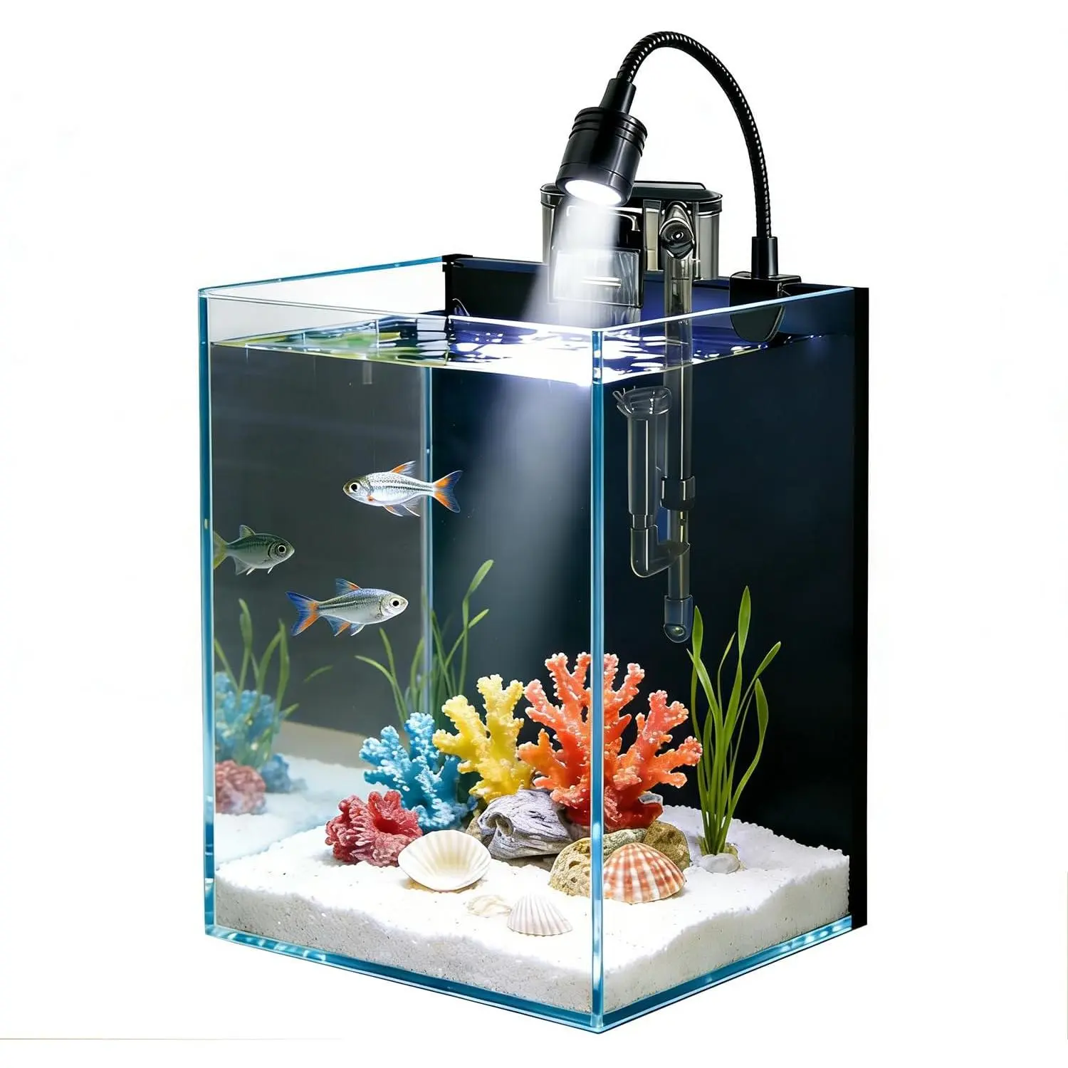 Betta Fish Tank kit,Small Nano Glass Fish Tank Start Kit with Filter,LED Light for Shrimp,Small Fish,Betta (1.5 Gallon)
