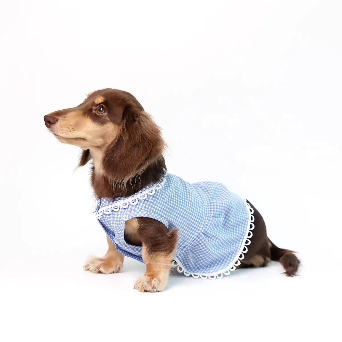 Pet Plaid Princess Dress, Sweet Lace Trim Button Dog Sun Protection Skirt, Lightweight Summer for Small Dogs and Cats