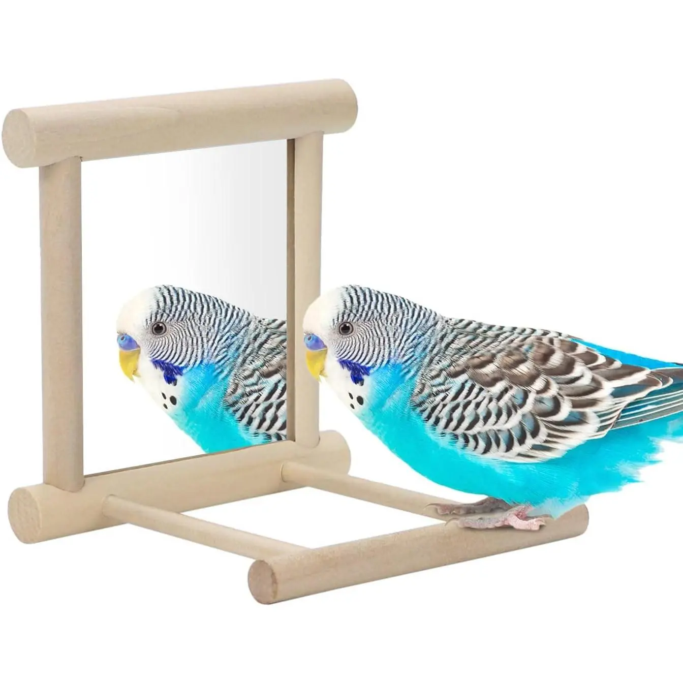 Rectangular Bird Mirror with Perch - Interactive Toy for Small to Medium Pet Birds (Parrots, Budgies, Parakeets, Cockatiels, Lovebirds, Finches, Canaries)