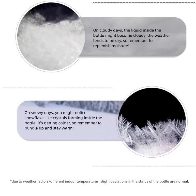 Forecast Anderson Storm Birthday Gift Factory Wholesale Egyptian Cat Weather Bottle