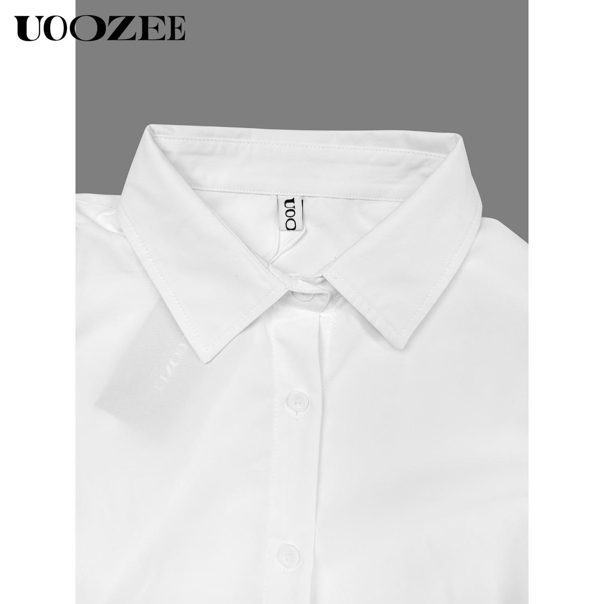 Women's Long Sleeves Loose Solid Color Lapel Collar Midi Dresses Shirt Dress