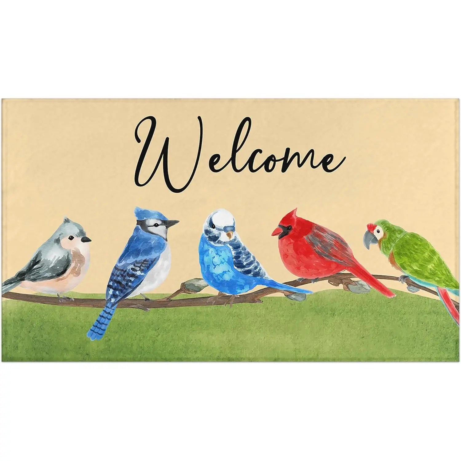 Spring Summer Door Mat for Front Door Bird Welcome Doormat Non-Slip Washable Spring Outdoor Mat Entry Rug for Indoor Outdoor  Spring Decorations 17 x 30 Inch
