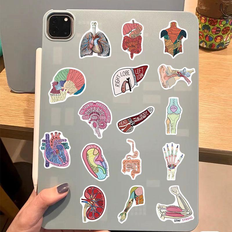 Organ Body Parts Series Graffiti Sticker, 50pcs/set Waterproof Self Adhesive Decor Paper, Decor Sticker for Gift Greeting Card Water Bottle Laptop Phone