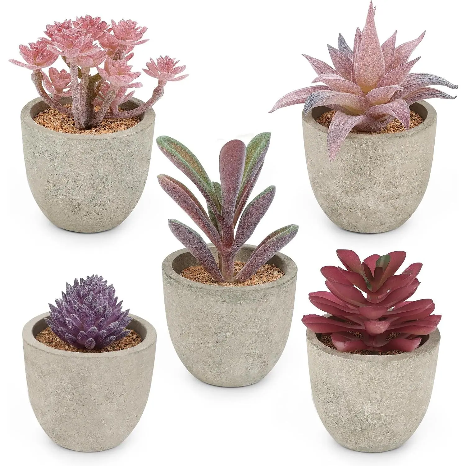 Artificial Succulent  Potted,  Decorative Faux Succulent Potted  Cactus Cacti  with Pots, Set of 5 ()