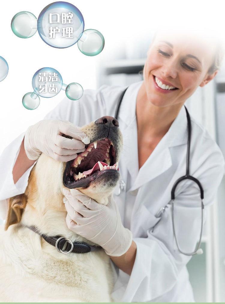 Dog toothpaste, toothbrush, non-irritating, protects teeth, scented fragrance, prevents tooth decay